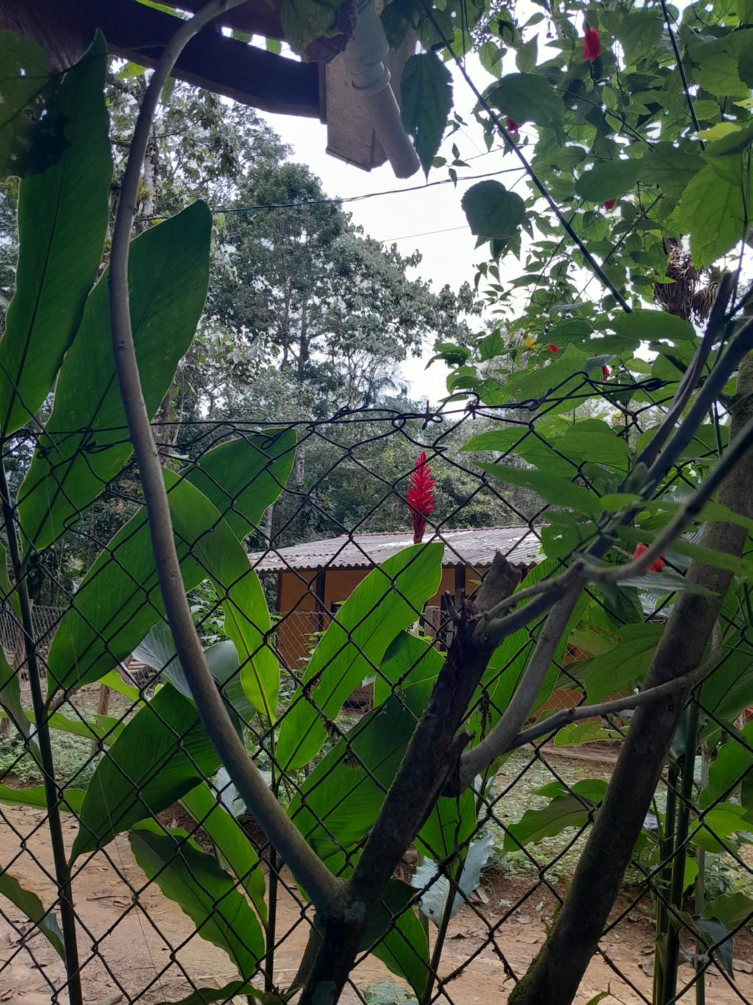 Sitio Das Bromelias Cachoeira Do Tombador Убатуба Екстериор снимка